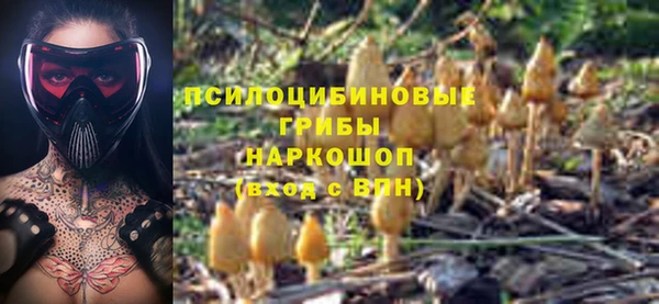 первитин Киренск