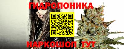 спайс Тара