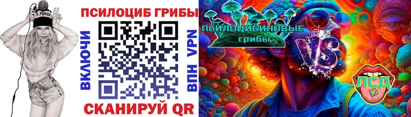 Псилоцибиновые грибы Magic Shrooms  blacksprut зеркало  Киреевск  цены наркотик 