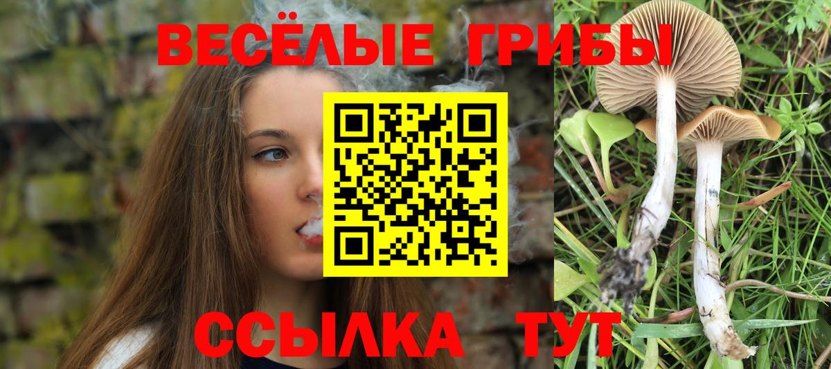 где можно купить   Вход с VPN  Киреевск  Галлюциногенные грибы GOLDEN TEACHER 