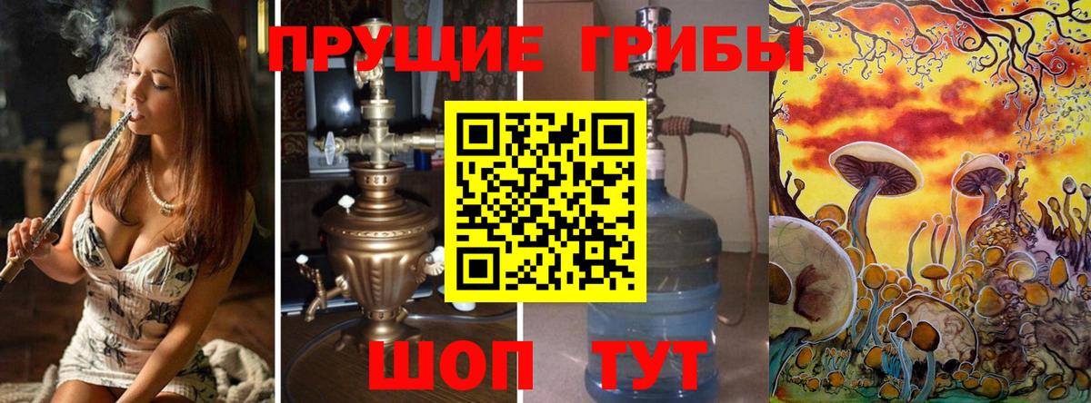 Галлюциногенные грибы GOLDEN TEACHER Киреевск